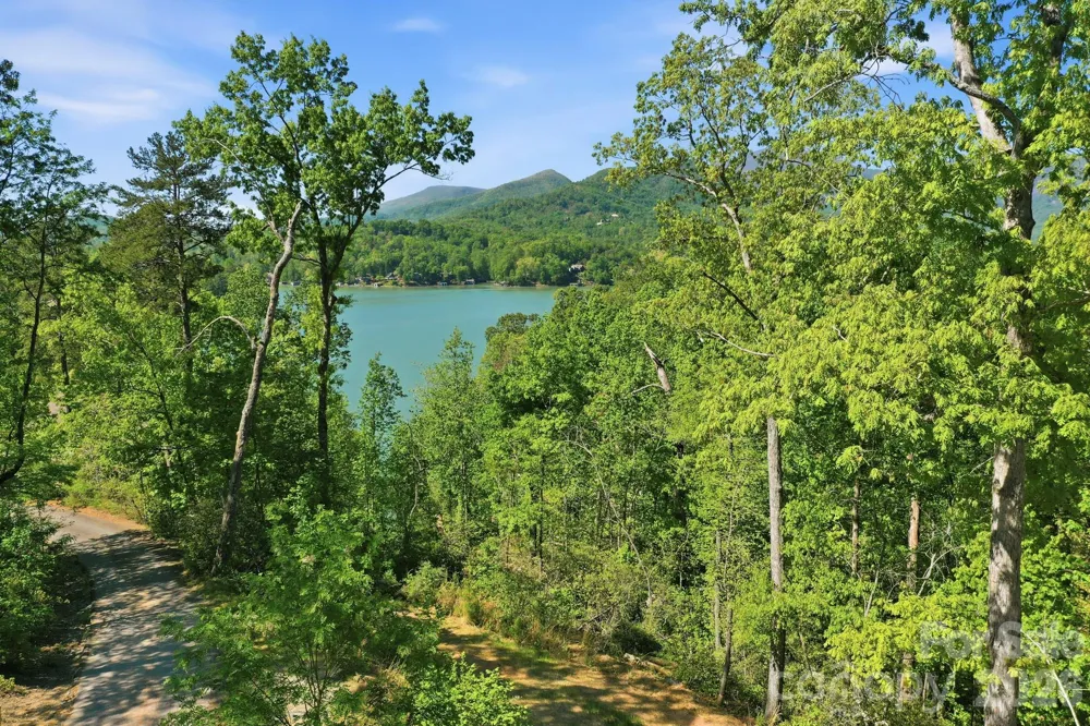 131 Pier Point Drive Lake Lure, NC 28746