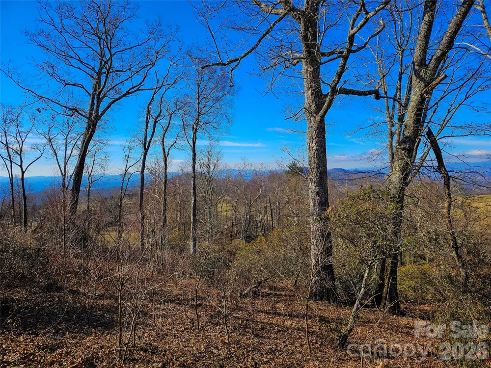 Lot #90 Summerset Drive Hendersonville, NC 28792