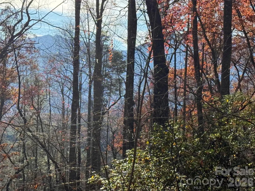 0000 Halls Chapel Road Burnsville, NC 28714