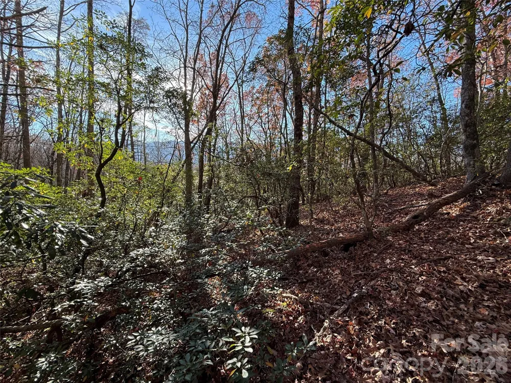 0000 Halls Chapel Road Burnsville, NC 28714