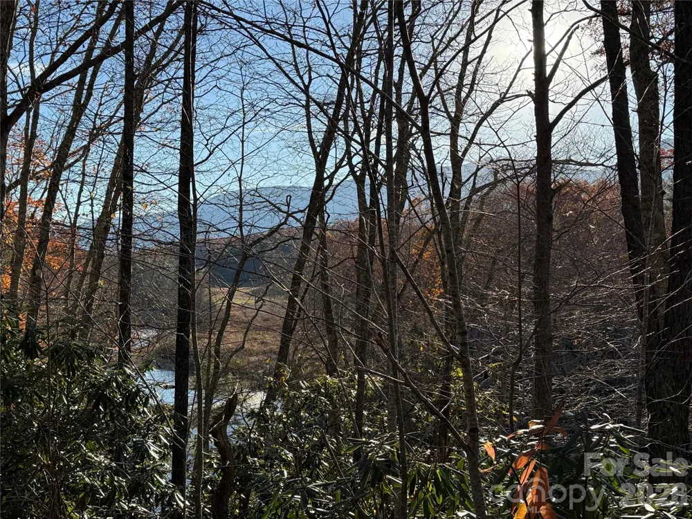 0000 Halls Chapel Road Burnsville, NC 28714