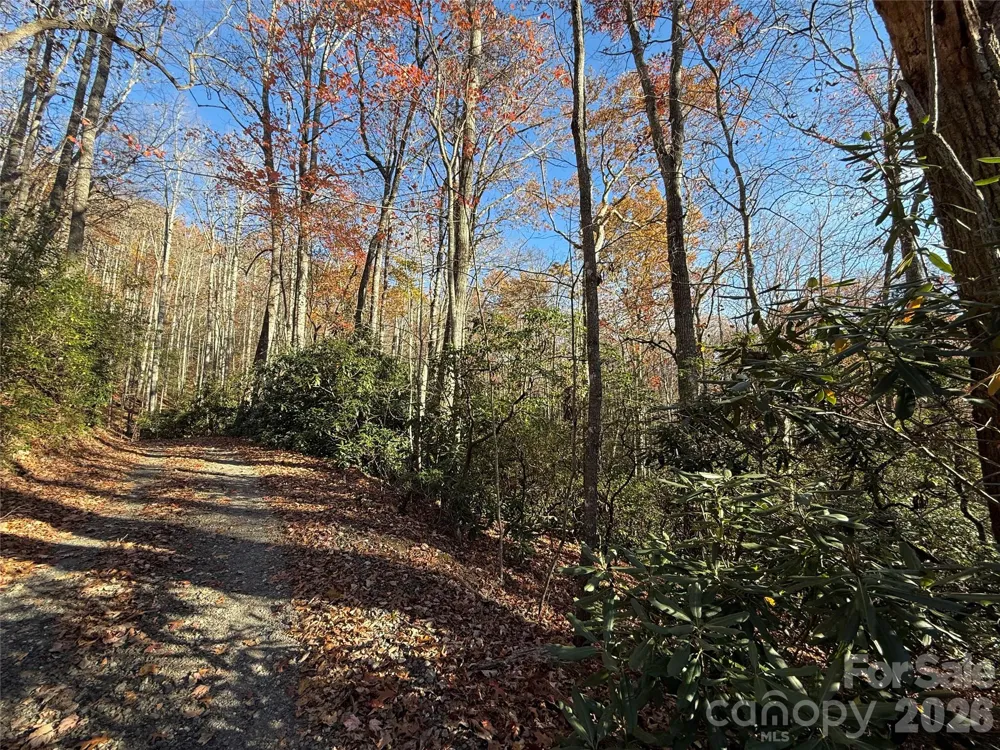 0000 Halls Chapel Road Burnsville, NC 28714