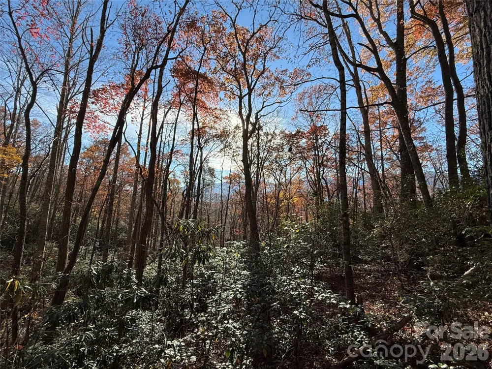 0000 Halls Chapel Road Burnsville, NC 28714