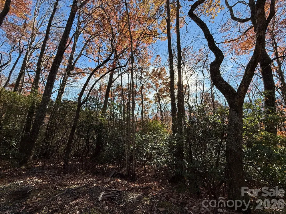 0000 Halls Chapel Road Burnsville, NC 28714