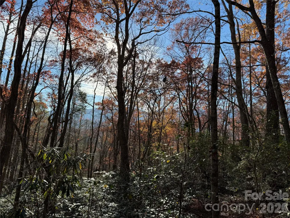 0000 Halls Chapel Road Burnsville, NC 28714