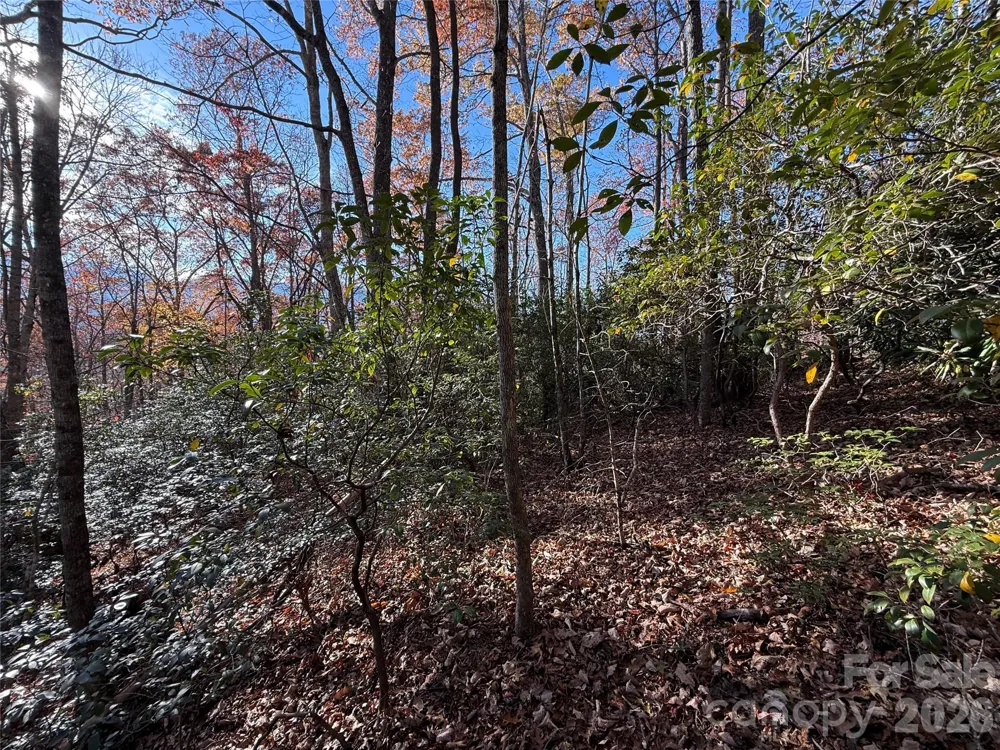 0000 Halls Chapel Road Burnsville, NC 28714