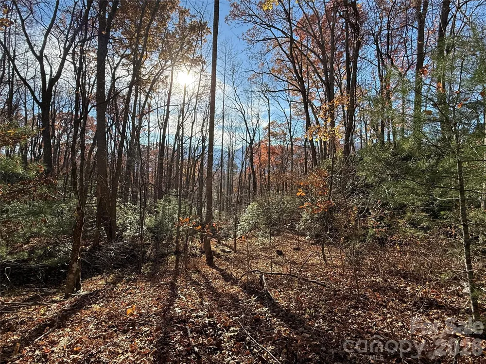 0000 Halls Chapel Road Burnsville, NC 28714