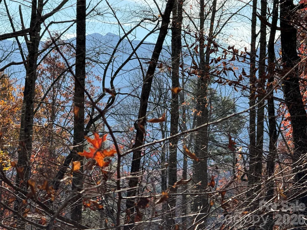 0000 Halls Chapel Road Burnsville, NC 28714
