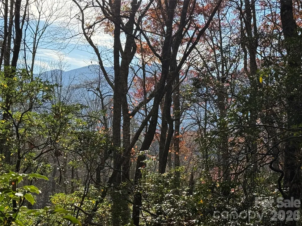 0000 Halls Chapel Road Burnsville, NC 28714