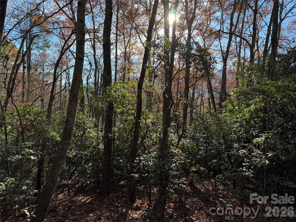 0000 Halls Chapel Road Burnsville, NC 28714