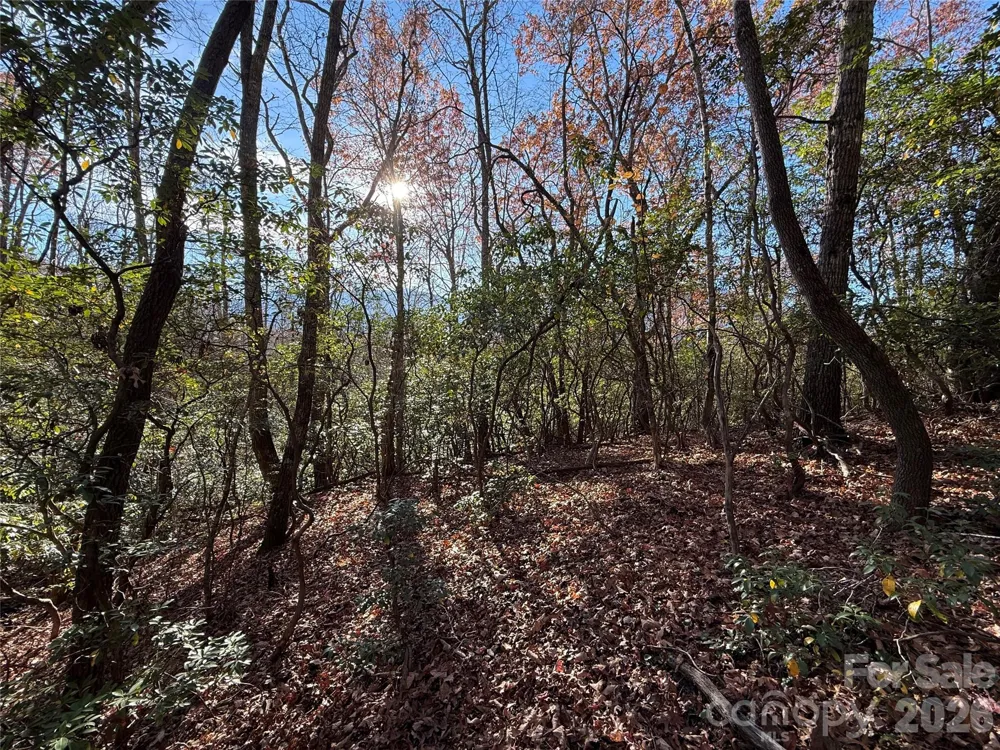 0000 Halls Chapel Road Burnsville, NC 28714