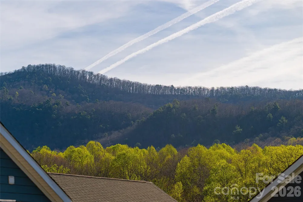 1022 Padgett Place Black Mountain, NC 28711