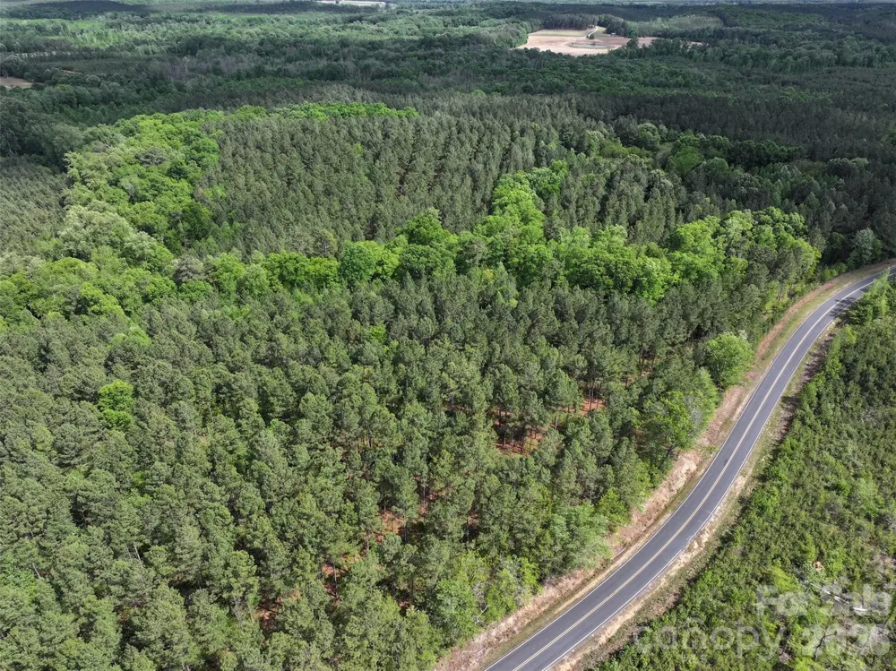 TBD Horne Town Road Polkton, NC 28135