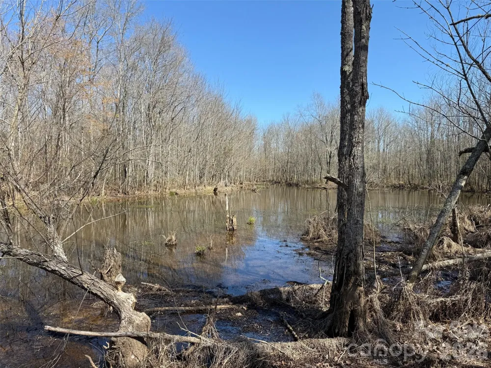 TBD Horne Town Road Polkton, NC 28135