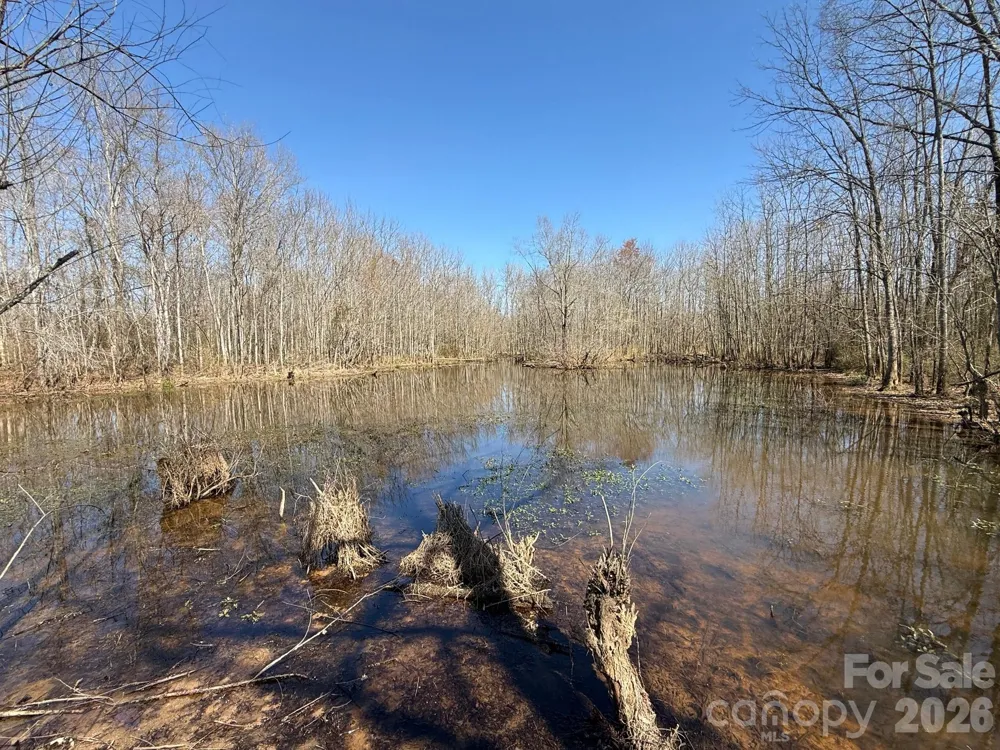 TBD Horne Town Road Polkton, NC 28135