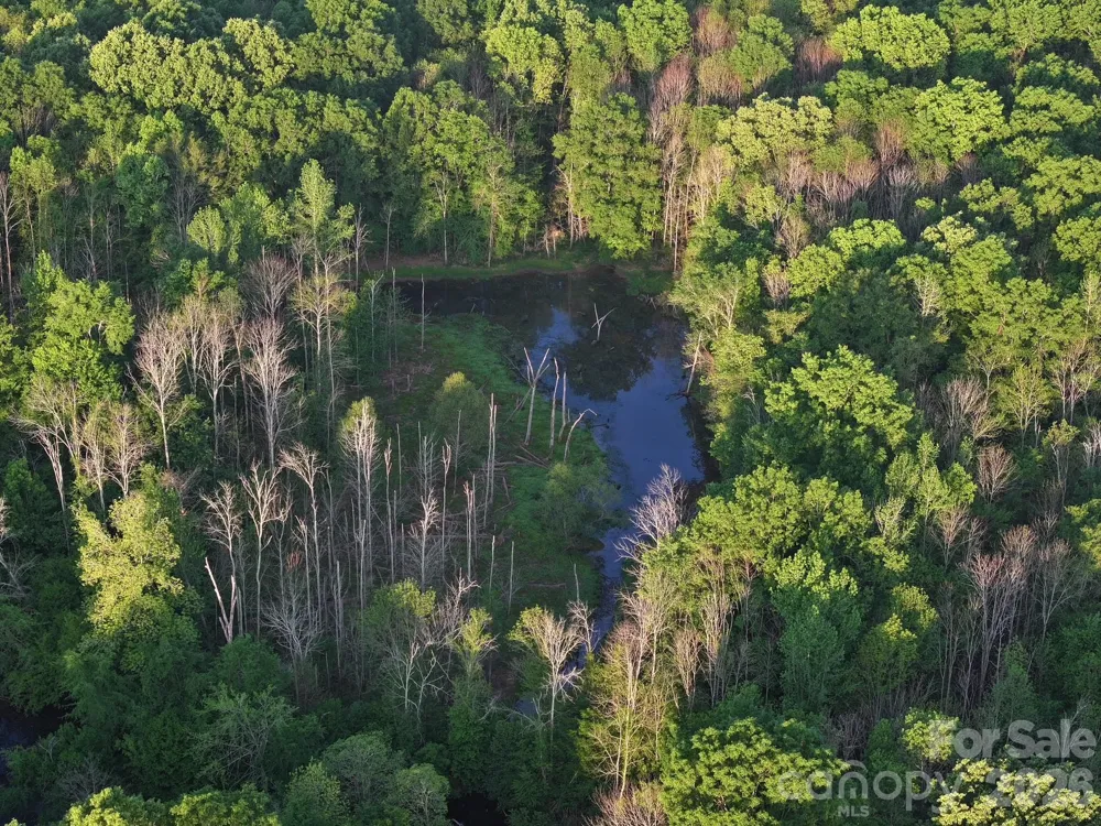 TBD Horne Town Road Polkton, NC 28135
