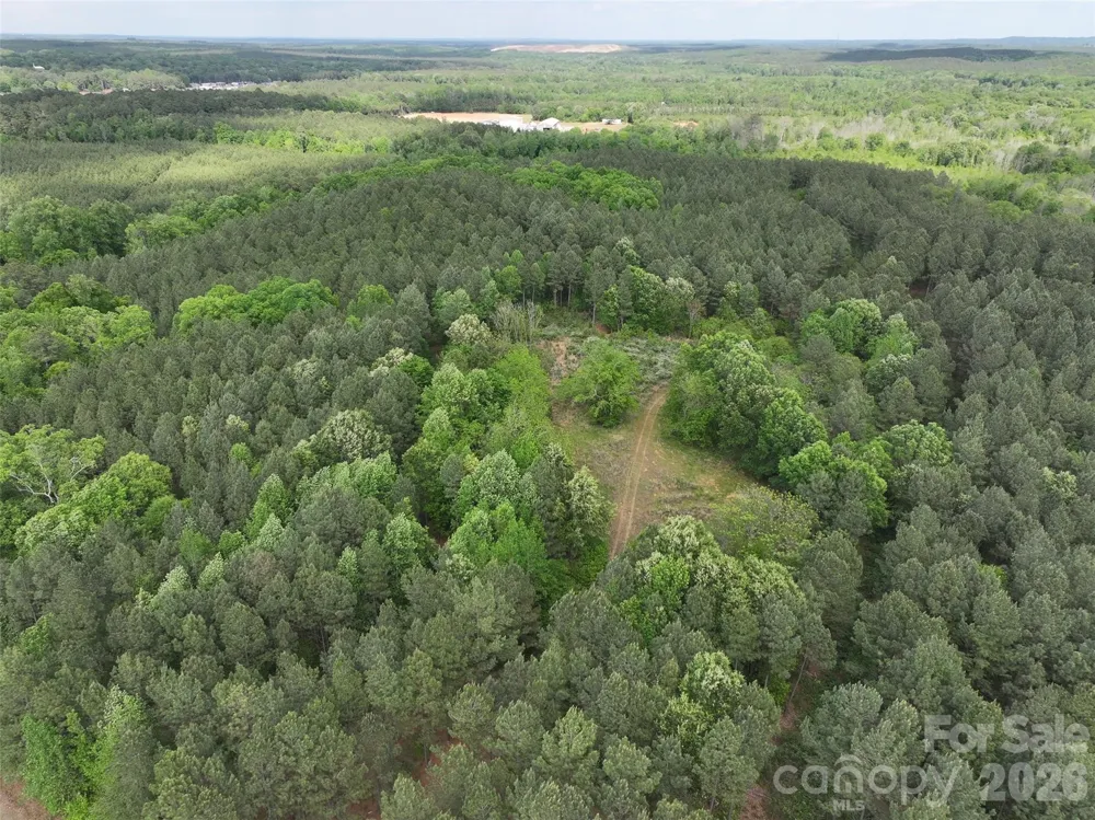 TBD Horne Town Road Polkton, NC 28135