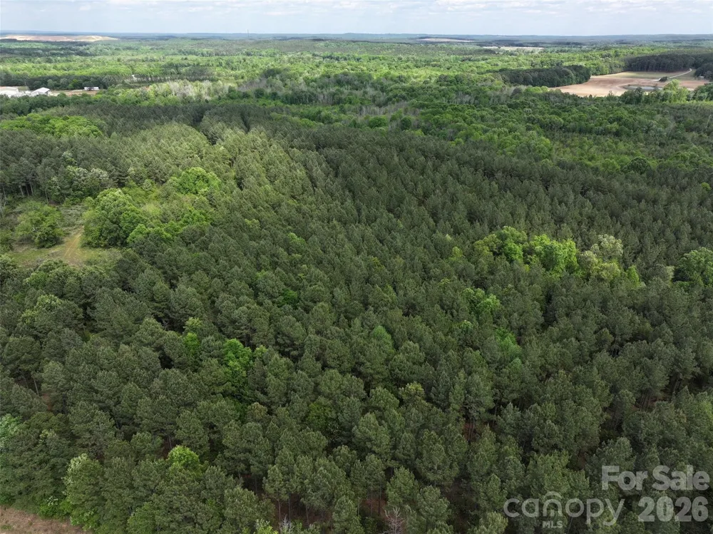 TBD Horne Town Road Polkton, NC 28135