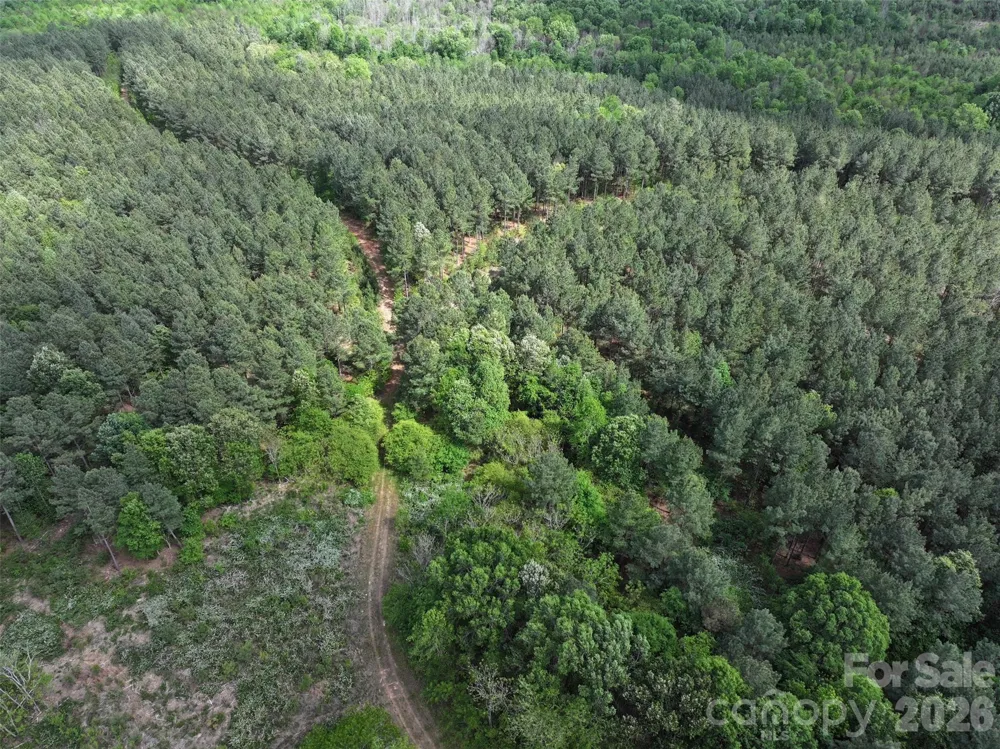 TBD Horne Town Road Polkton, NC 28135