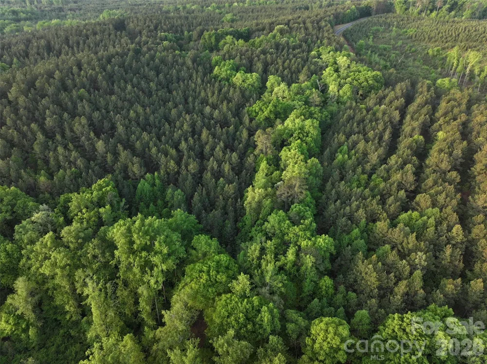 TBD Horne Town Road Polkton, NC 28135