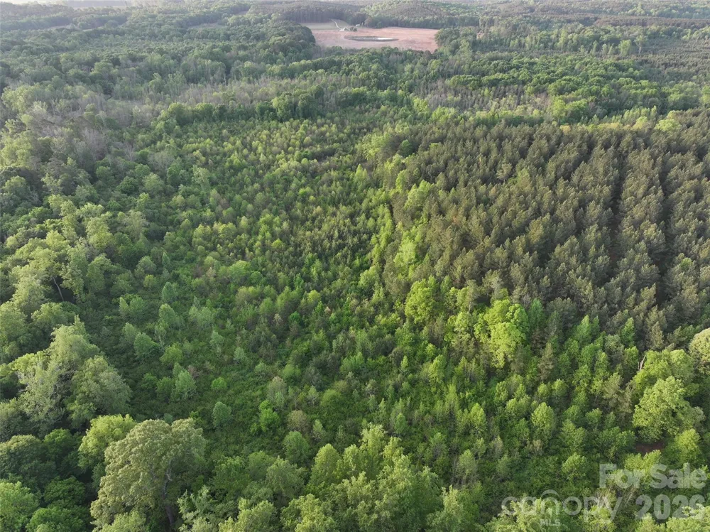 TBD Horne Town Road Polkton, NC 28135