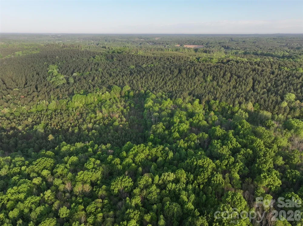 TBD Horne Town Road Polkton, NC 28135