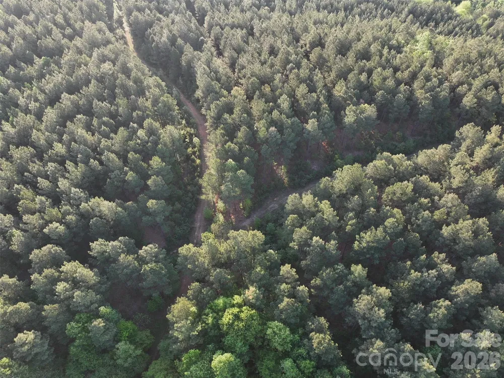 TBD Horne Town Road Polkton, NC 28135