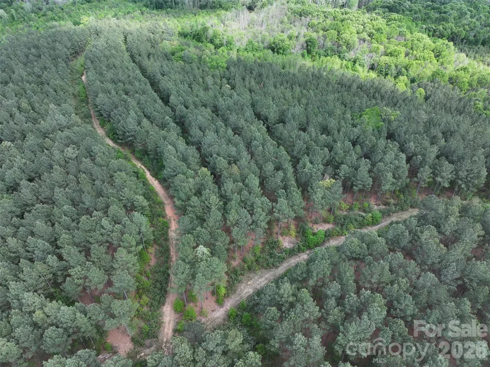 TBD Horne Town Road Polkton, NC 28135