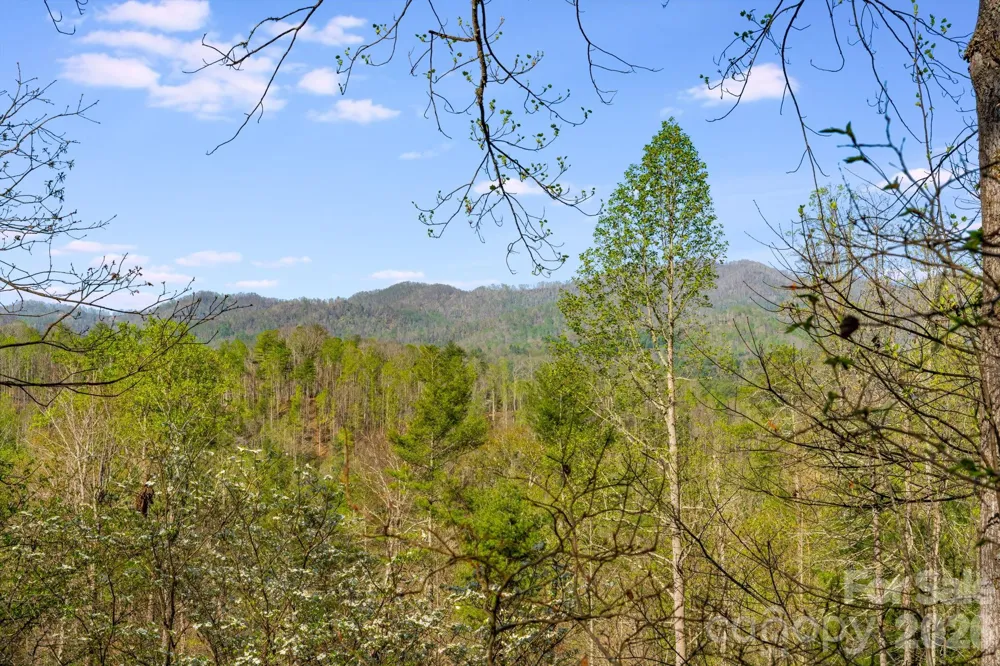 770 Echo Hill Drive Green Mountain, NC 28740