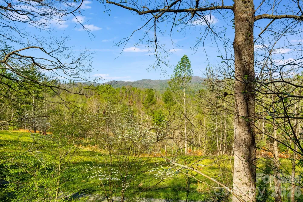 770 Echo Hill Drive Green Mountain, NC 28740