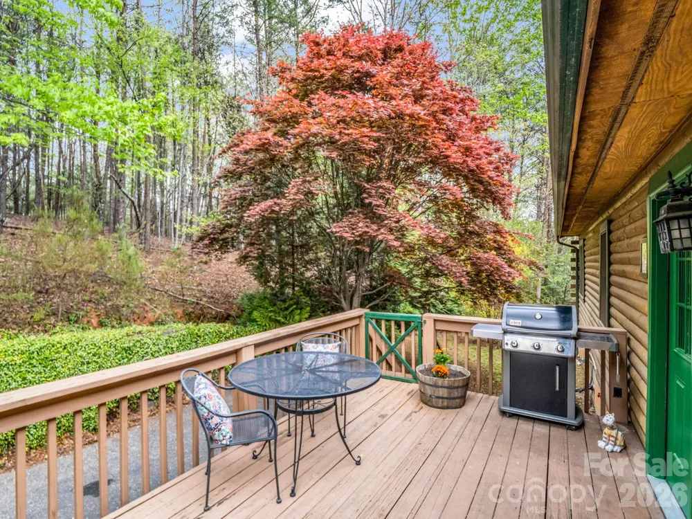 233 Shumont Estates Road Lake Lure, NC 28746