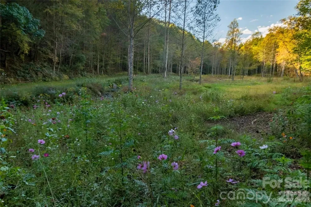 2108 River Hill Road Murphy, NC 28906