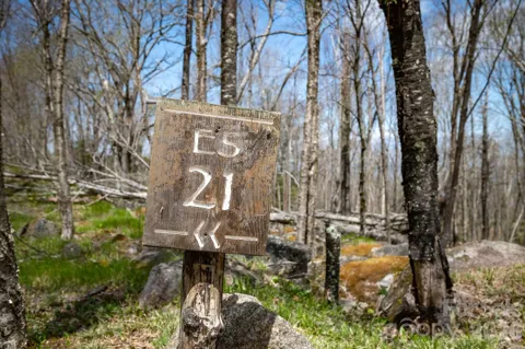 ES-21 Eagle Springs Trail