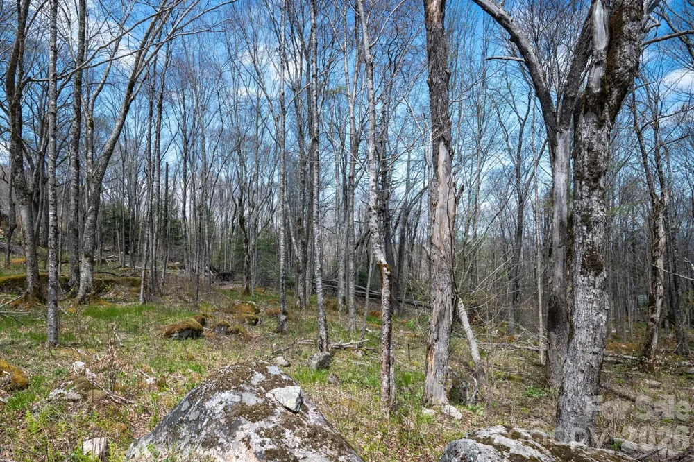 ES-21 Eagle Springs Trail Banner Elk, NC 28604