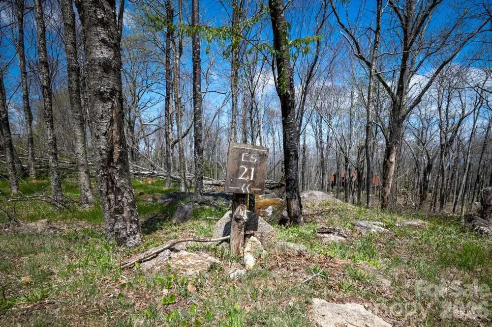 ES-21 Eagle Springs Trail Banner Elk, NC 28604