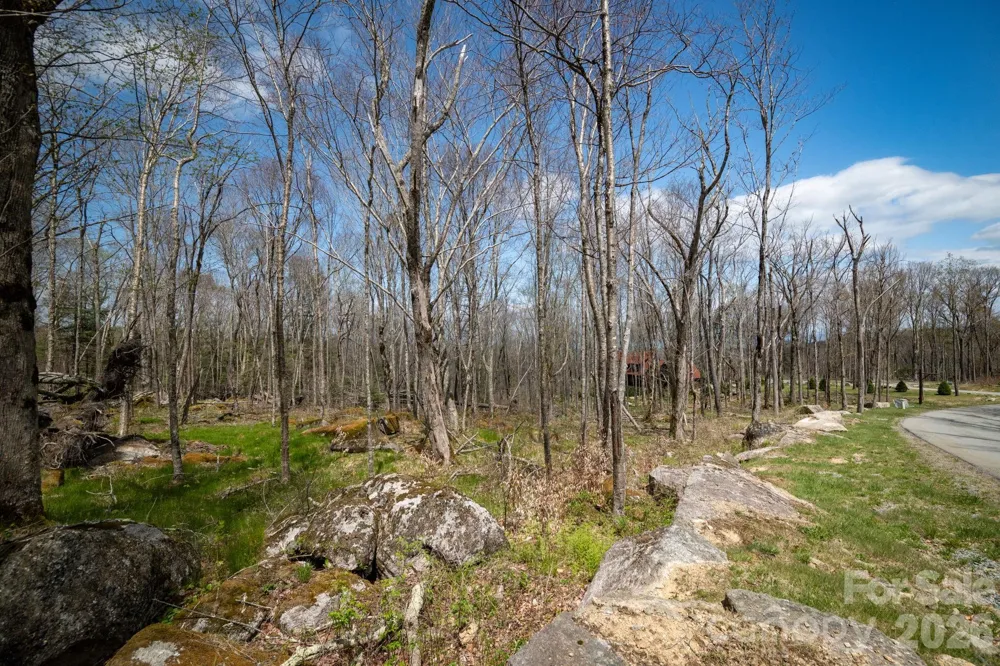 ES-21 Eagle Springs Trail Banner Elk, NC 28604