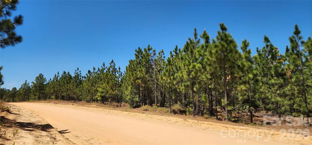 1050 Mcqueen Road Patrick, SC 29584