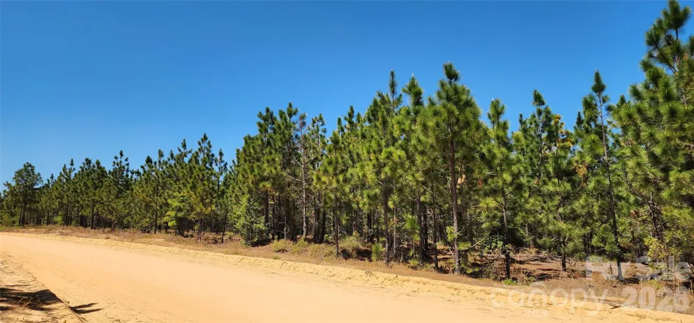 1050 Mcqueen Road Patrick, SC 29584