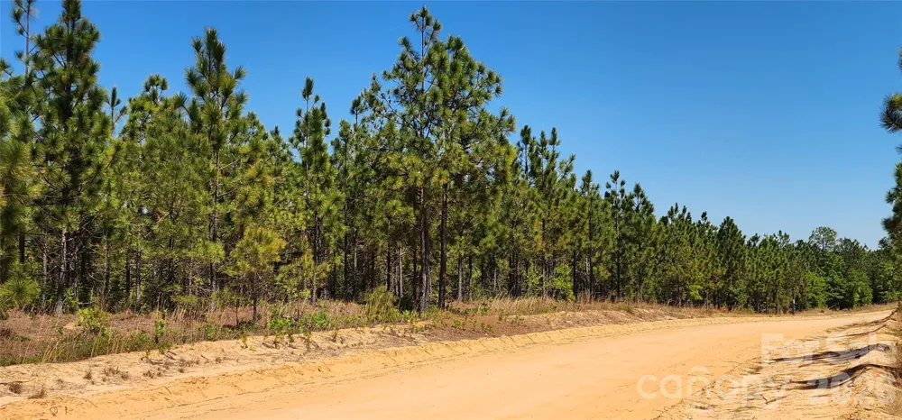 1050 Mcqueen Road Patrick, SC 29584