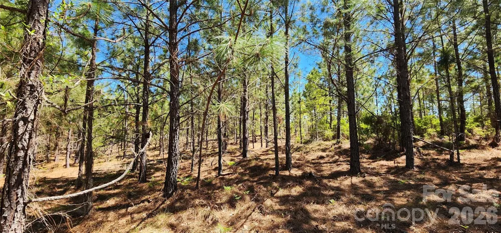 1050 Mcqueen Road Patrick, SC 29584