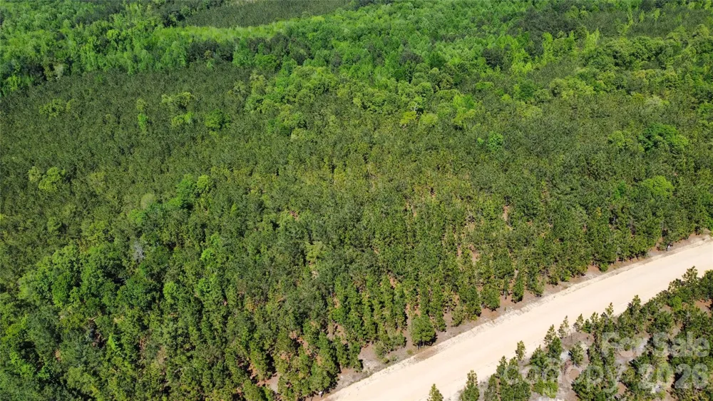 1050 Mcqueen Road Patrick, SC 29584