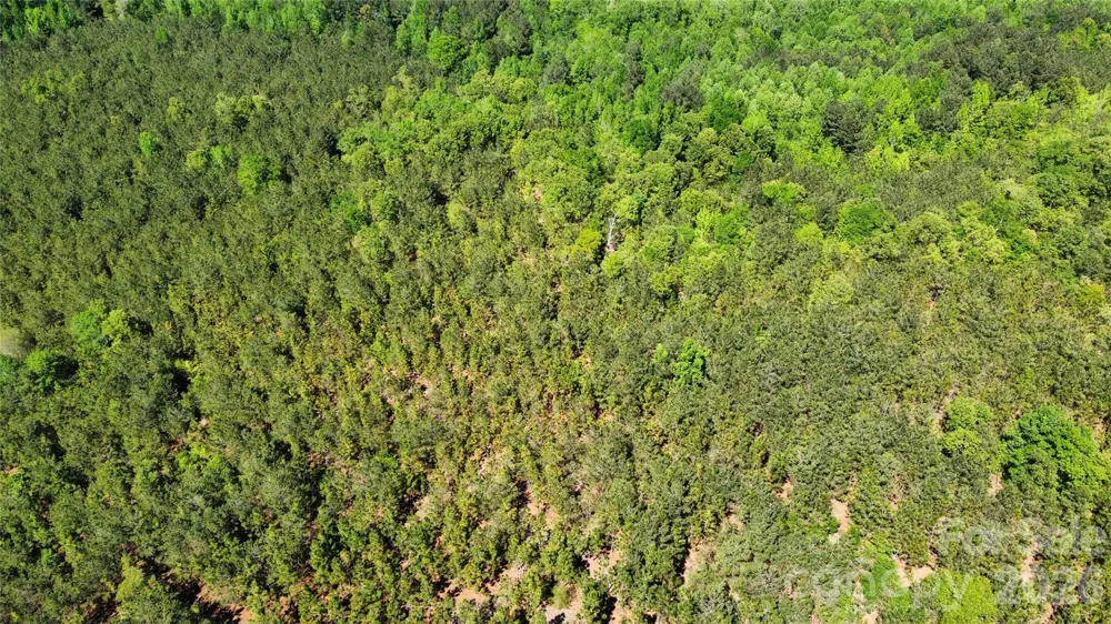 1050 Mcqueen Road Patrick, SC 29584