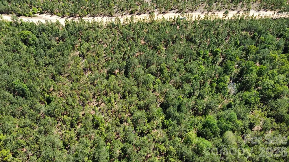1050 Mcqueen Road Patrick, SC 29584