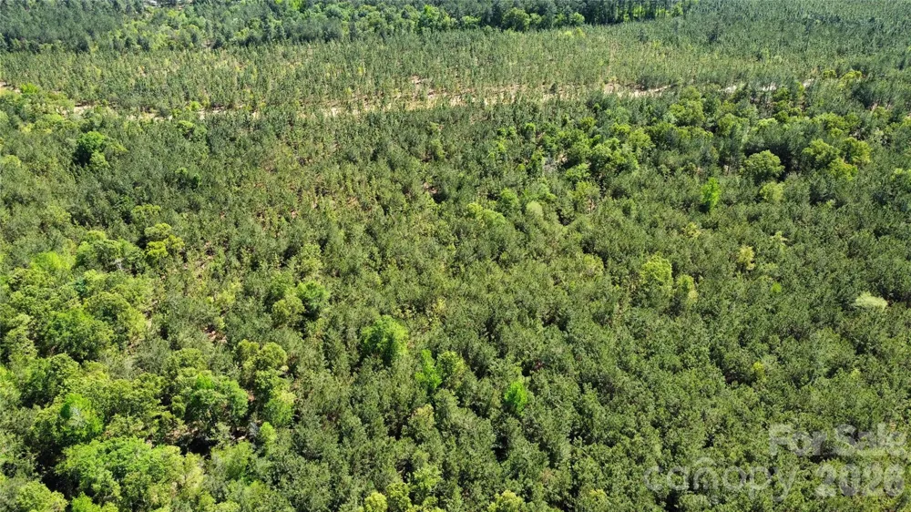 1050 Mcqueen Road Patrick, SC 29584