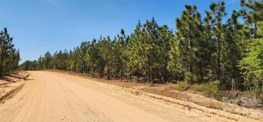 1050 Mcqueen Road Patrick, SC 29584