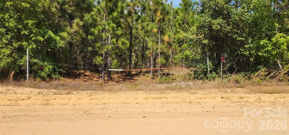 1050 Mcqueen Road Patrick, SC 29584