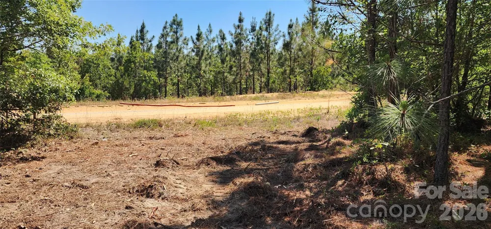 1050 Mcqueen Road Patrick, SC 29584