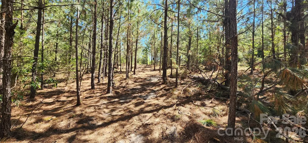 1050 Mcqueen Road Patrick, SC 29584
