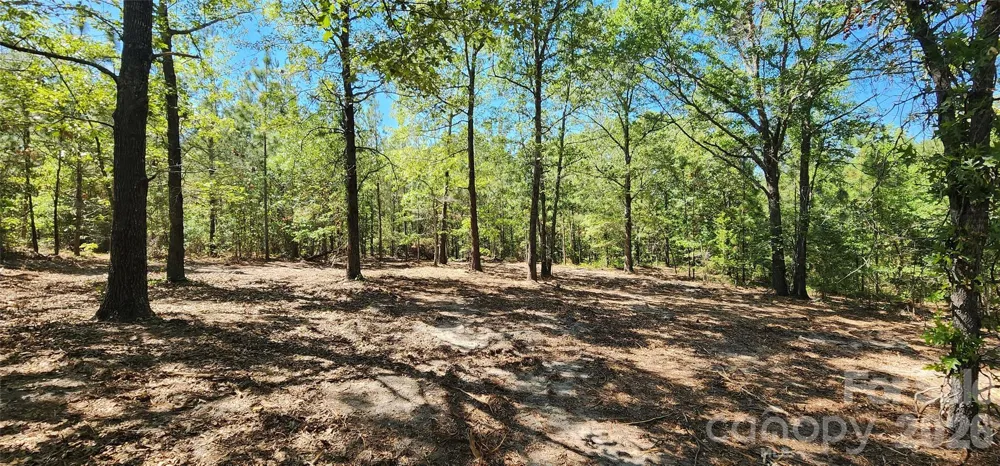 1050 Mcqueen Road Patrick, SC 29584