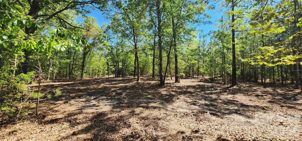1050 Mcqueen Road Patrick, SC 29584